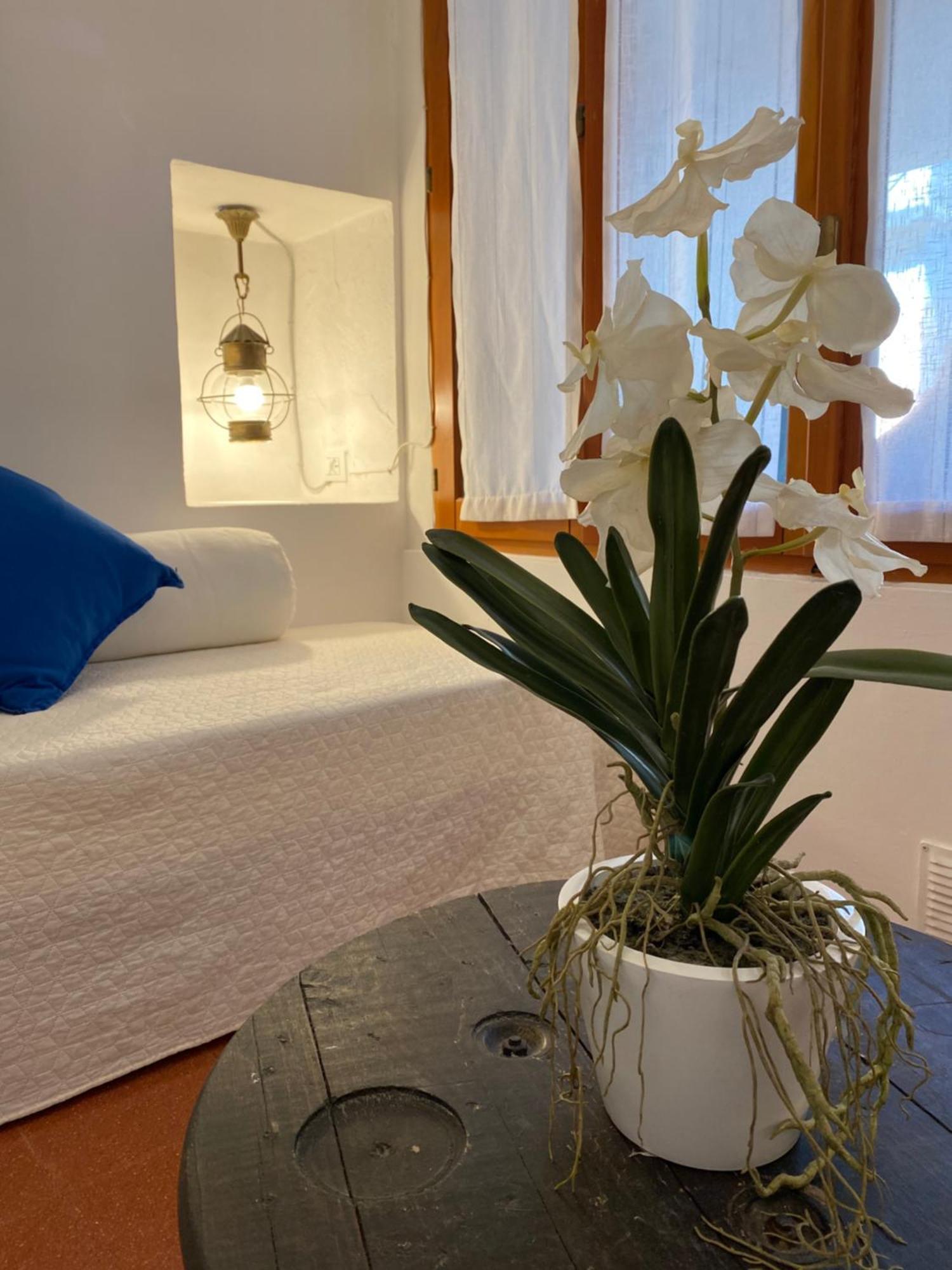 La Verde Di Vernazza - Art Studio - Ac&Wifi - Vernazzarentals Экстерьер фото
